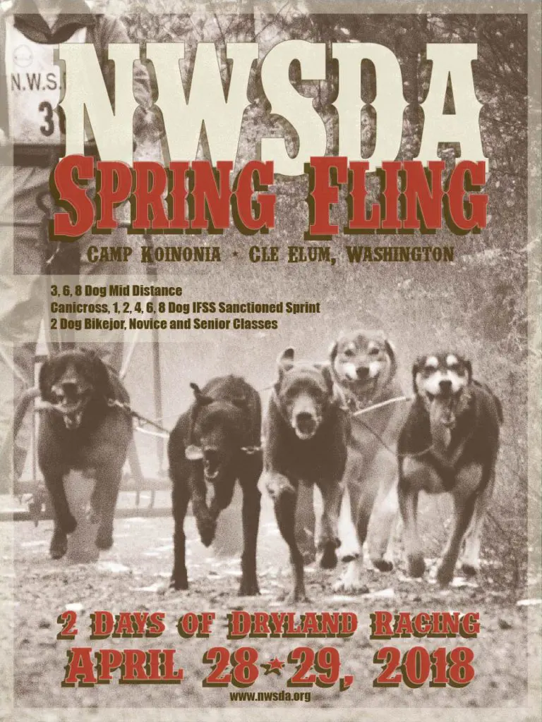 Spring Fling Digital Poster