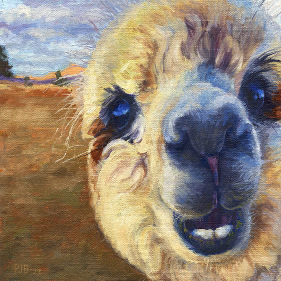 Alpaca Selfie